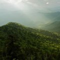 Exploring the Diverse Biodiversity of Northeast Tennessee