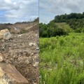 The Current State of Forestry in Northeast Tennessee