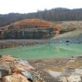 The Impact of Natural Resource Extraction on Wildlife Habitats in Northeast Tennessee