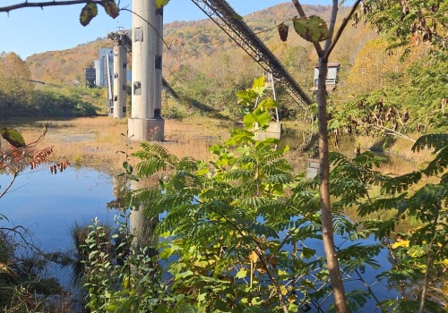 The Threats to Natural Resources in Northeast Tennessee