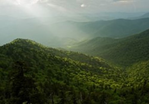 Exploring the Diverse Biodiversity of Northeast Tennessee