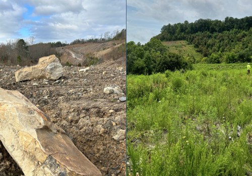 The Current State of Forestry in Northeast Tennessee