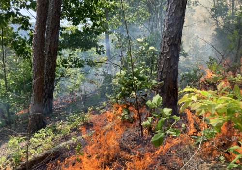 The Vital Role of Education in Promoting Responsible Use of Natural Resources in Northeast Tennessee